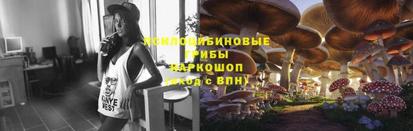 ГАЛЛЮЦИНОГЕННЫЕ ГРИБЫ Лагань