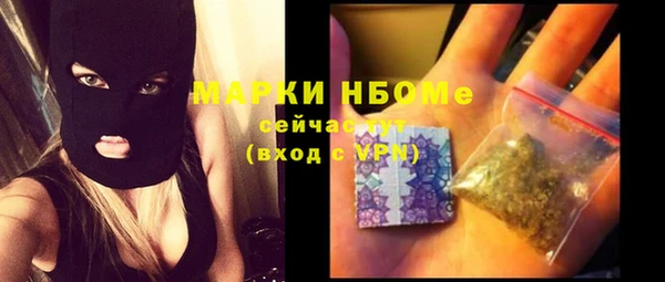 ГАЛЛЮЦИНОГЕННЫЕ ГРИБЫ Лагань
