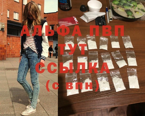 ГАЛЛЮЦИНОГЕННЫЕ ГРИБЫ Лагань