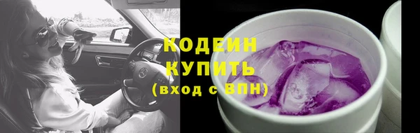 ГАЛЛЮЦИНОГЕННЫЕ ГРИБЫ Лагань