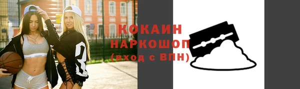 ГАЛЛЮЦИНОГЕННЫЕ ГРИБЫ Лагань