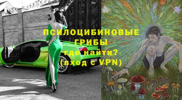 сатива Ладушкин