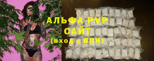 ГАЛЛЮЦИНОГЕННЫЕ ГРИБЫ Лагань