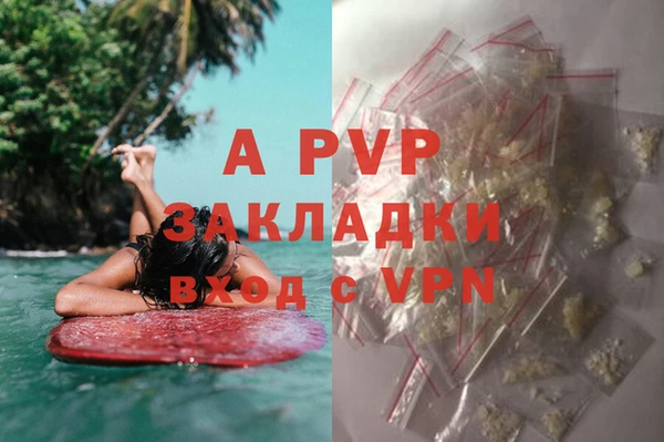 сатива Ладушкин