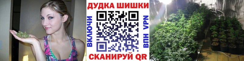 Бошки Шишки Amnesia  Купить закладки  Североуральск 